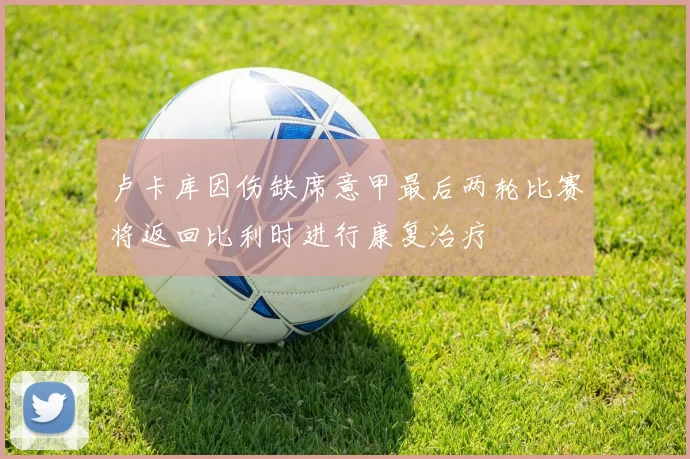 卢卡库因伤缺席意甲最后两轮比赛将返回比利时进行康复治疗