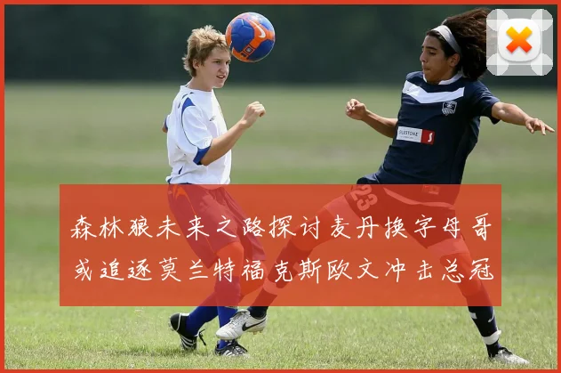 森林狼未来之路探讨麦丹换字母哥或追逐莫兰特福克斯欧文冲击总冠军